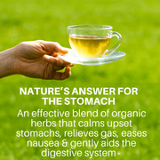 SpeedyVite® Stomach Soothing Tea – Digestive Support | SpeedyVite - FREE SHIPPING Tea