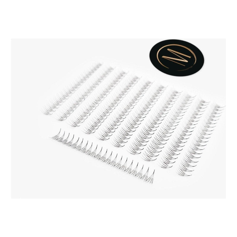 Mega Lash Academy 4D Mix Rapid Promade Fans® - 1000 Fans Promade Fans