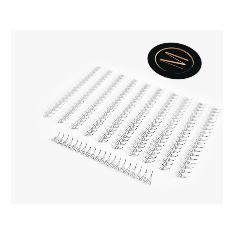 Mega Lash Academy 4D Rapid Promade Fans® - 1000 Fans Promade Fans