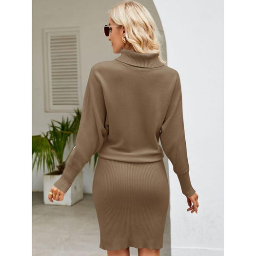 Turtle Neck Long Sleeve Ribbed Sweater Dress