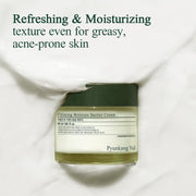 AsiaBeautyMall Pyunkang Yul Calming Moisture Barrier Cream Moisturizer