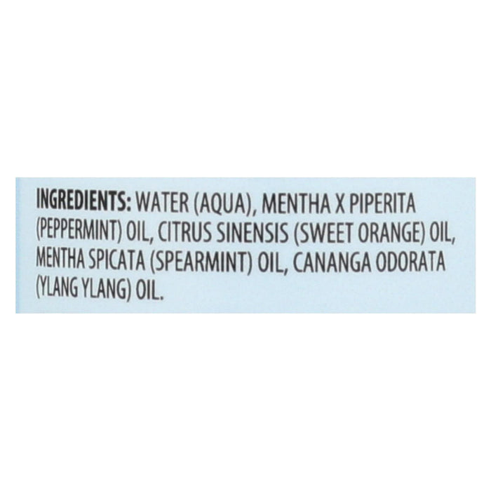 Aura Cacia Aromatherapy Energizing Peppermint Mist (4 Fl Oz)