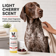 Warren London Oatmeal Dog Shampoo for Dry, Itchy Skin – Cherry Scent, 17 oz Dog Shampoo Light Gray