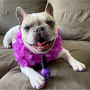 Warren London Dog Nail Polish - Polish Bottles with Brush Dog Nail Polish