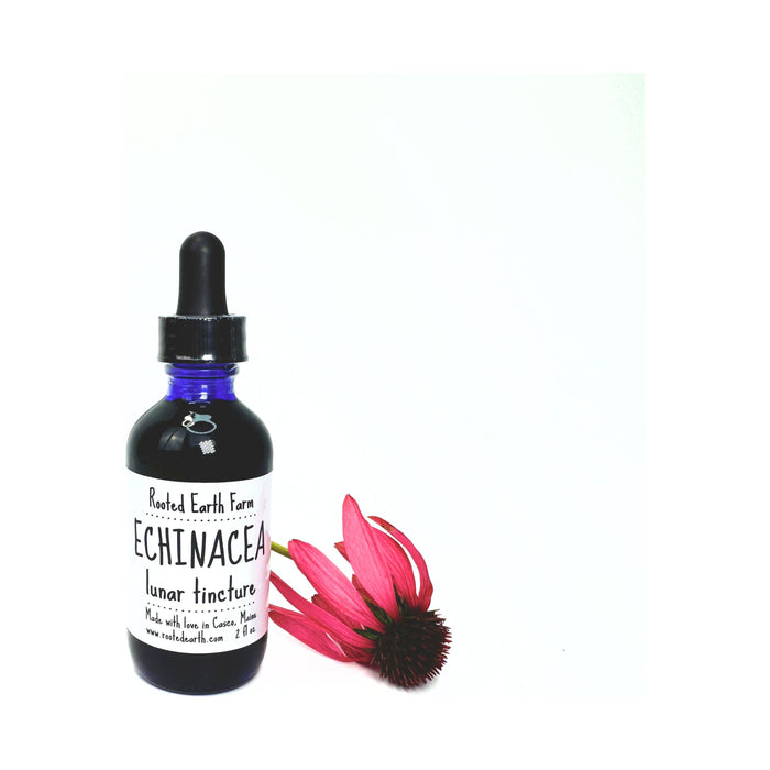 Rooted Earth Farm + Apothecary - Echinacea Tincture 1oz - 2oz