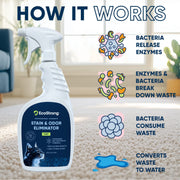 EcoStrong Cat Stain and Odor Eliminator Pet & Animal > Cat Stain & Odor