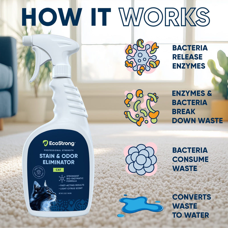 EcoStrong Cat Stain and Odor Eliminator Pet & Animal > Cat Stain & Odor