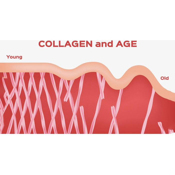 Collagen+ with Hydrolyzed Collagen Powder - Biotin - Hyaluronic Acid & Vitamin C