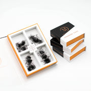 Mega Lash Academy 5D Mix Promade Loose Fans - 1000 Fans Promade Fans