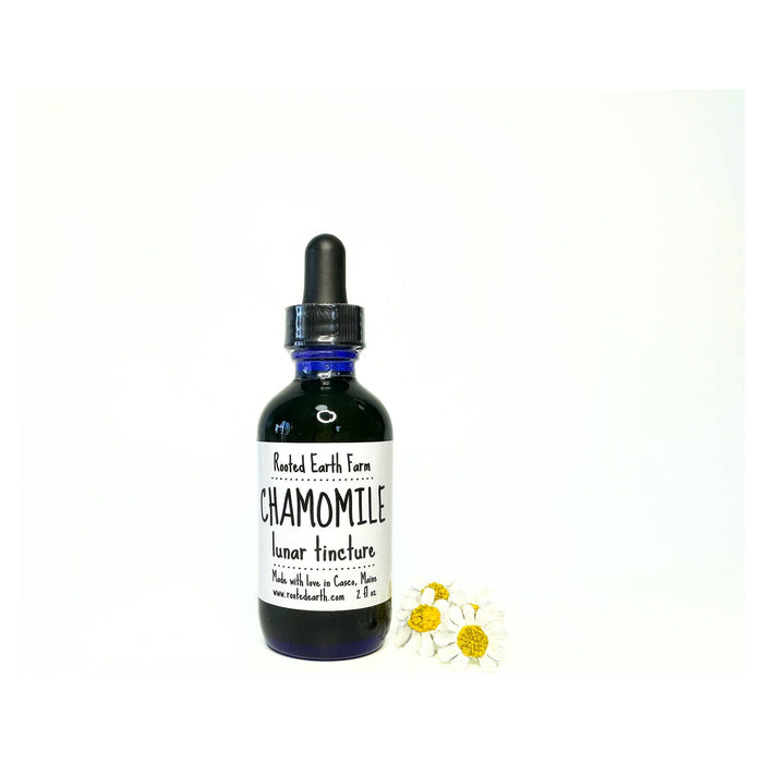 Chamomile Tincture