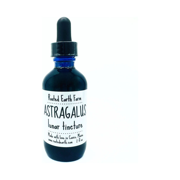 Astragalus Root Tincture