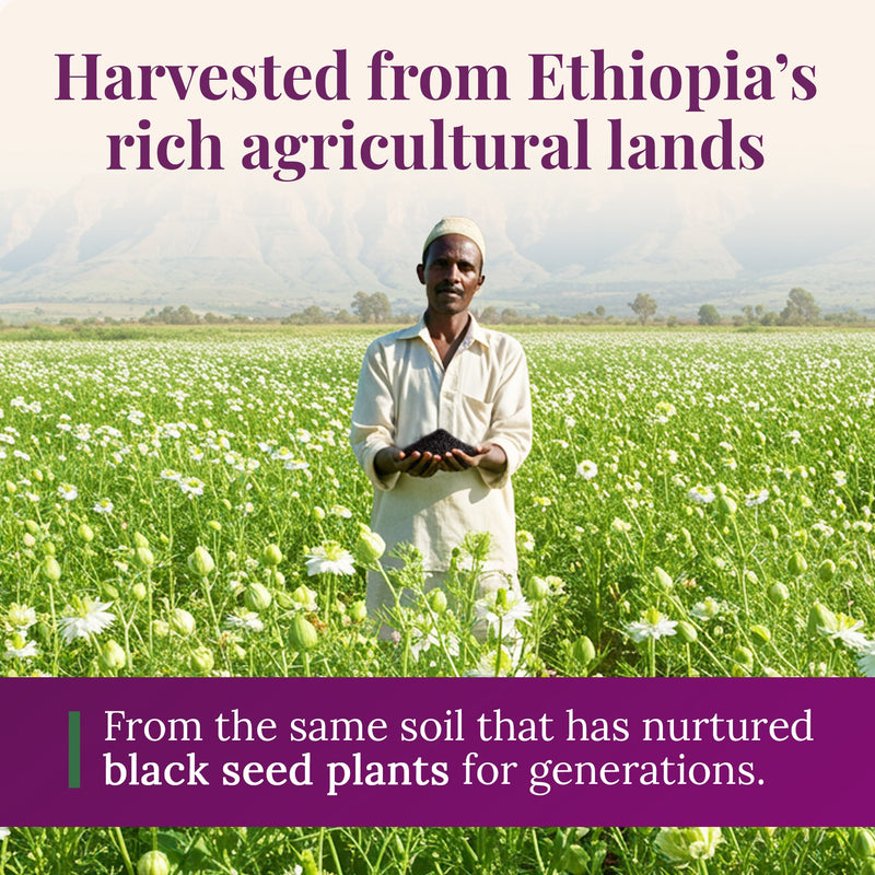 Bionatal Ethiopian Black Seed Oil 5oz (GLASS) Black Seed Oil