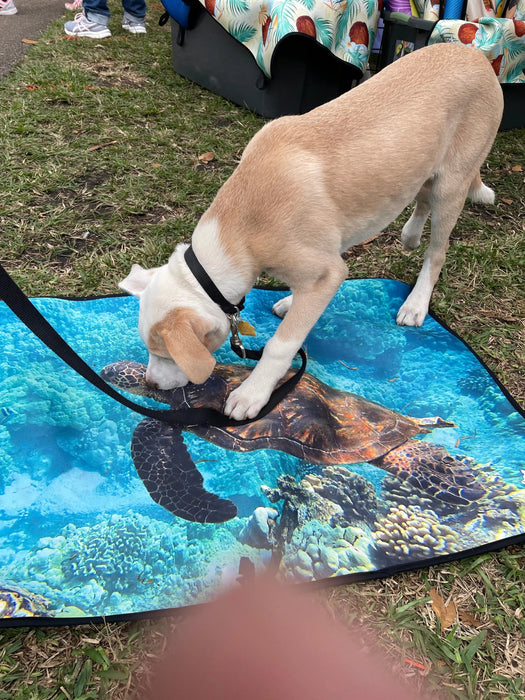 Dog Travel Mat- Perfect for dogs that love adventure!