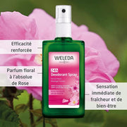 Weleda Weleda Wild Rose Deodorant Spray 3.4 oz Deodorant Spray