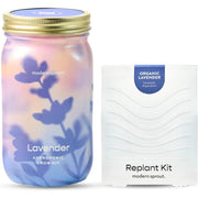 Modern Sprout Garden Jars - Organic Herbs Indoor Garden Kit