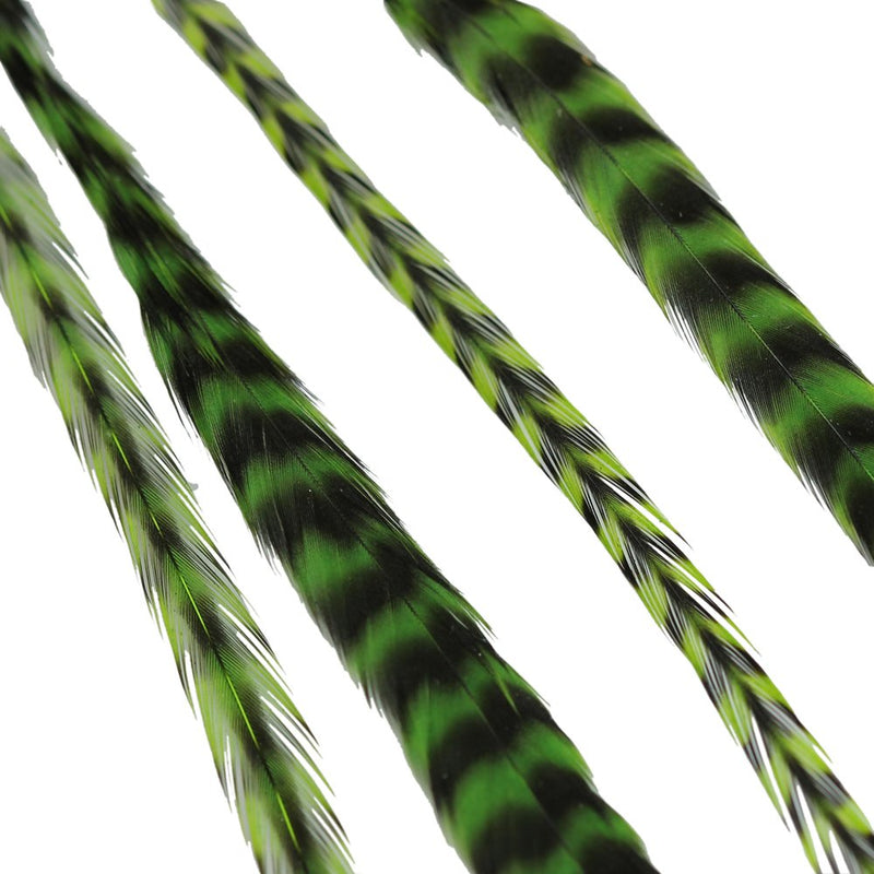 VIP Extensions Donna Bella Striped Green Feather Hair Extensions Hair Extension Accessories