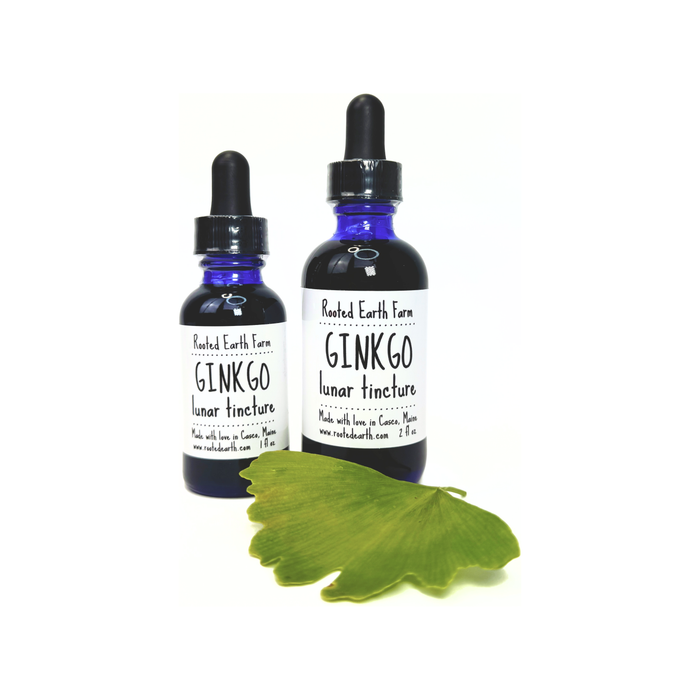 Ginkgo Tincture