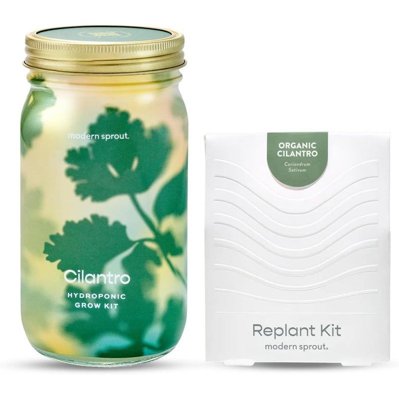 Modern Sprout Garden Jars - Organic Herbs Indoor Garden Kit