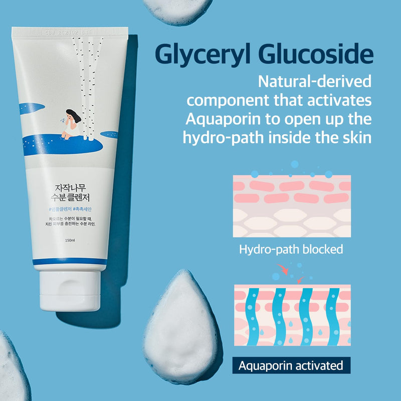 AsiaBeautyMall Round Lab Birch Juice Moisturizing Cleanser Face Cleanser