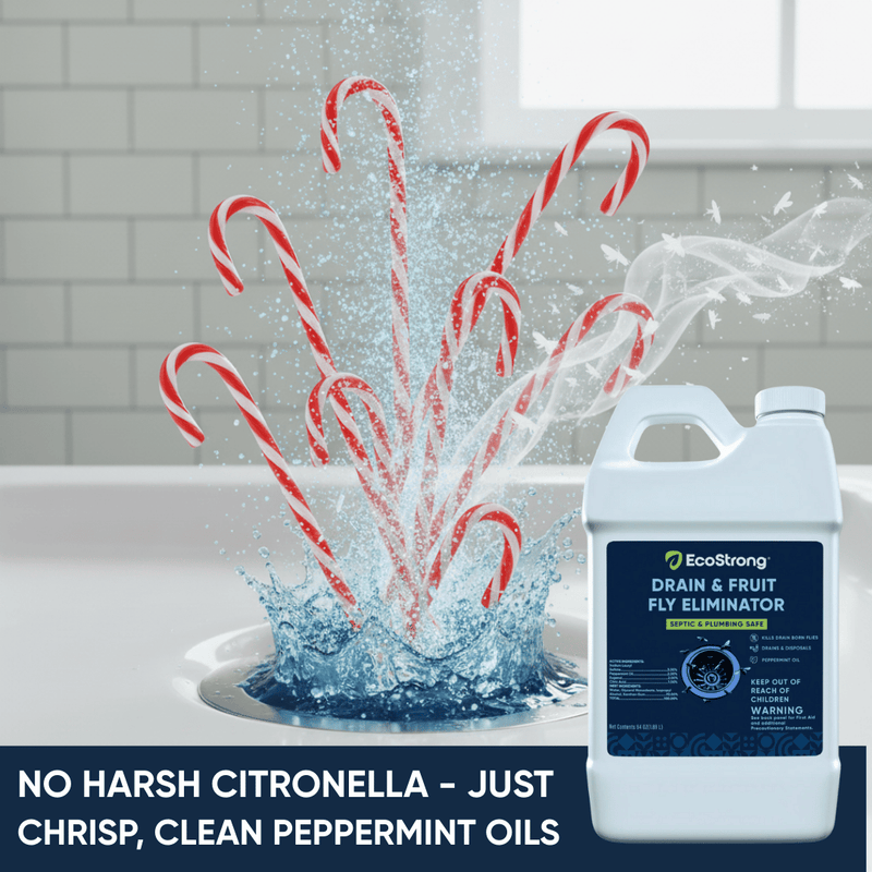 EcoStrong Drain and Fruit Fly Eliminator Drain & Septic > Drain & Fruit Flies