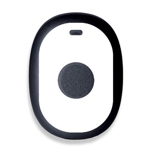 Peelz Custom Eversense 365