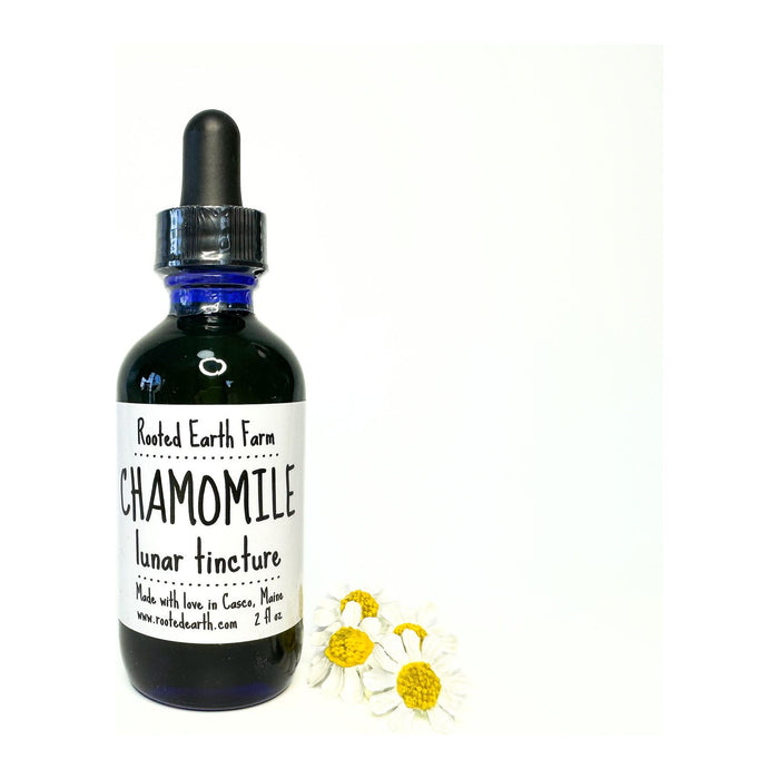 Chamomile Tincture