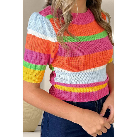 Color Block Round Neck Half Sleeve Knit Top