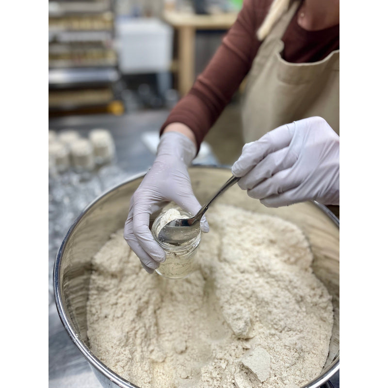 MION Artisan Soap Co. Calendula Scalp Scrub | Revitalizing & Nourishing