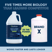 EcoStrong Leach and Drain Field Blast Drain & Septic > Septic System Problems