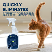 EcoStrong Cat Stain and Odor Eliminator Pet & Animal > Cat Stain & Odor