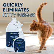EcoStrong Cat Stain and Odor Eliminator Pet & Animal > Cat Stain & Odor