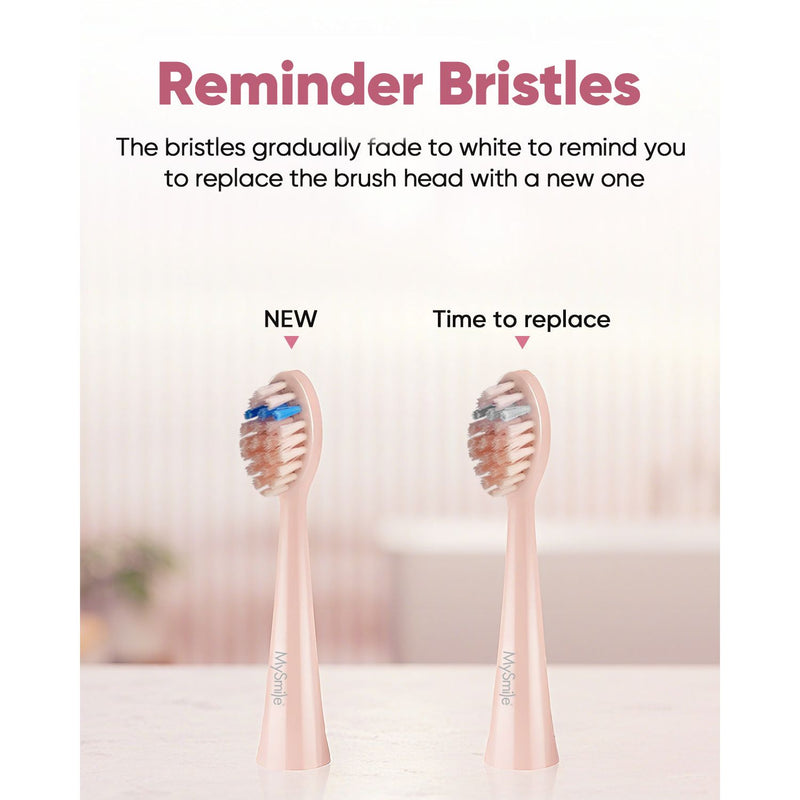 DY156 Essential Sonic Toothbrush