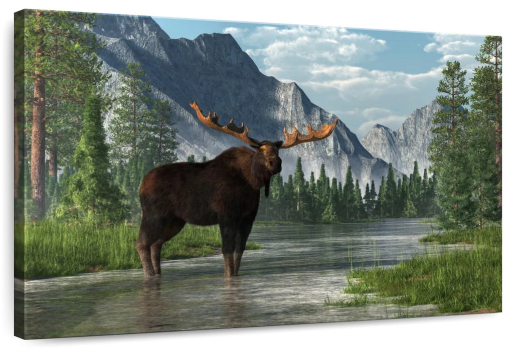 Bull Moose Habitat Wall Art