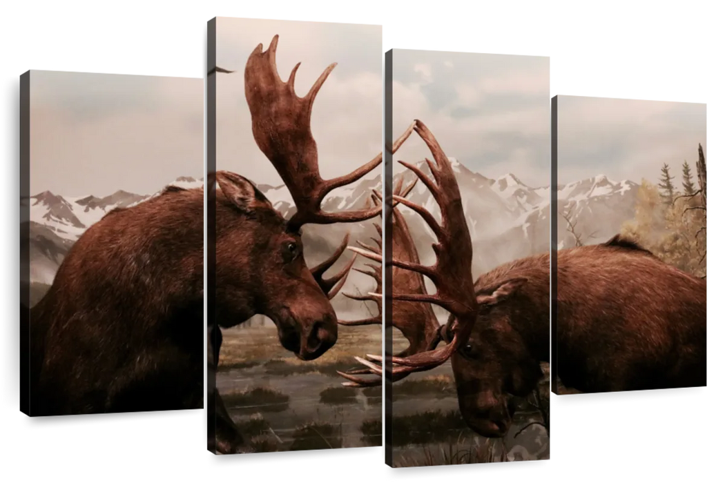 Moose Battle Wall Art