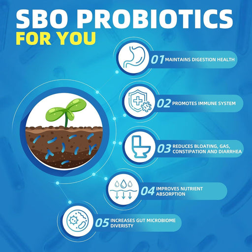 Nature Target SBO Probiotics with Prebiotic Fiber, 60 Billion CFUs, 90 Veggie Capsules Probiotic