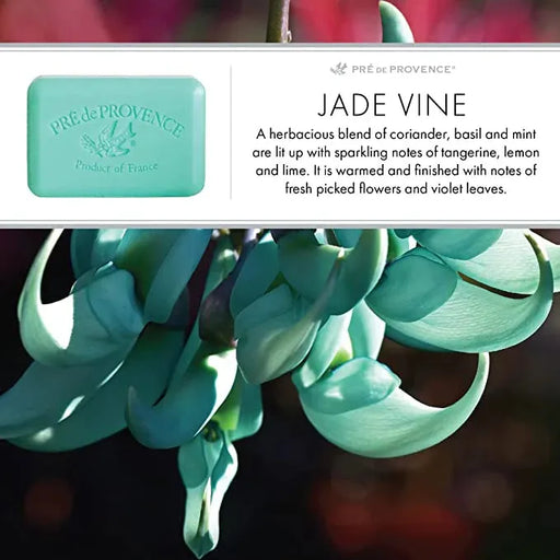 Pre De Provence Jade Vine Shea Butter Enriched Vegetable Soap 150g