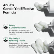 AsiaBeautyMall ANUA Heartleaf Centella Red Spot Cream Moisturizer White Smoke