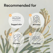 AsiaBeautyMall Abib Collagen Gel Mask (Jericho Rose Jelly) Face Mask