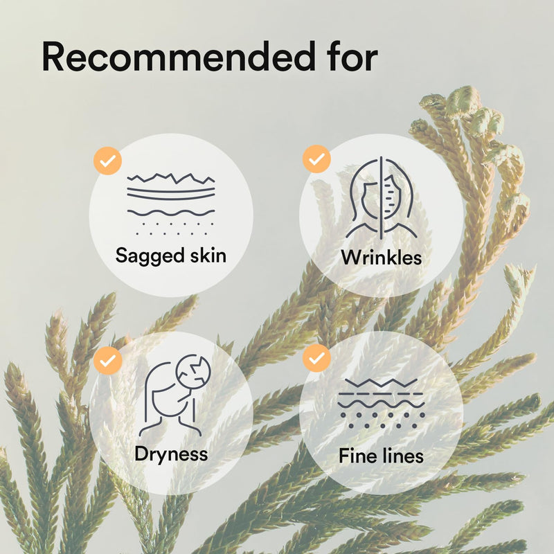 AsiaBeautyMall Abib Collagen Gel Mask (Jericho Rose Jelly) Face Mask