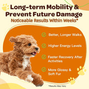 Nature Target Glucosamine Joint Supplement for Dogs & Cats, 90 Scoops Pet Vitamins Supplements