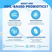 Nature Target SBO Probiotics with Prebiotic Fiber, 60 Billion CFUs, 90 Veggie Capsules Probiotic