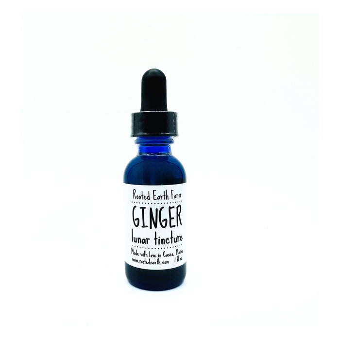 Ginger Tincture