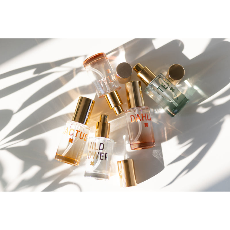 Wax Buffalo Wildflower