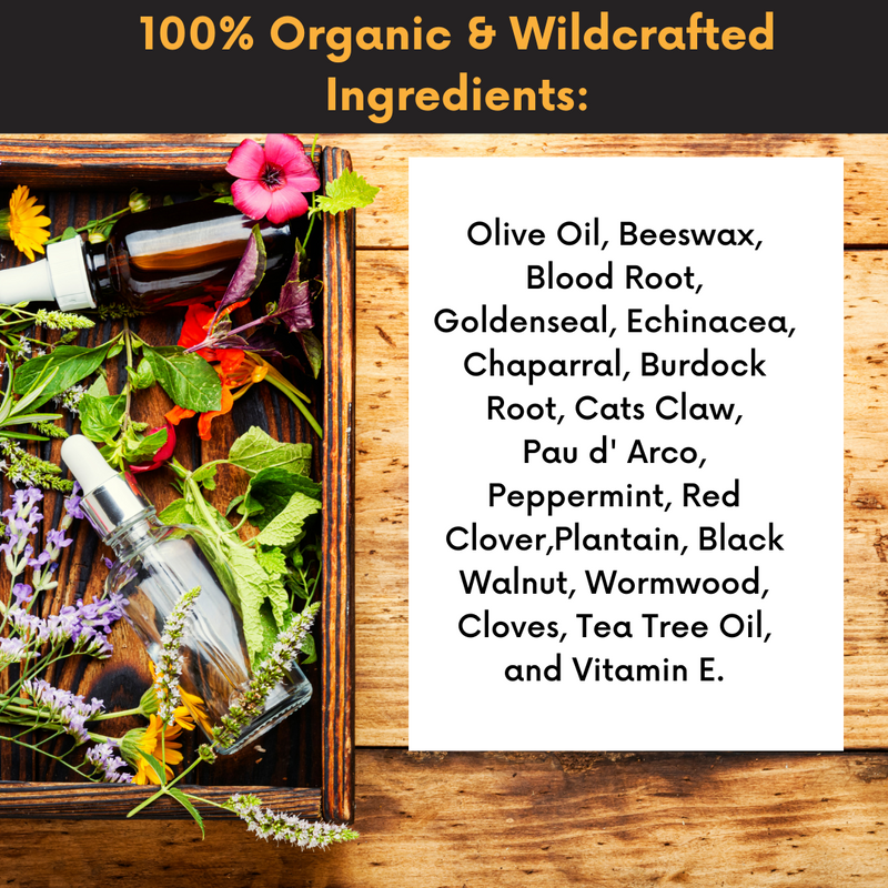 COLEHERBALS 14 - Dr. Cole's Organic Extraction Herbal Balm Herbal