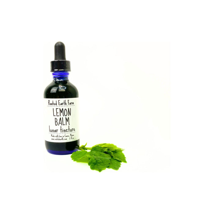 Rooted Earth Farm + Apothecary - Lemon Balm Tincture 1oz - 2oz. 