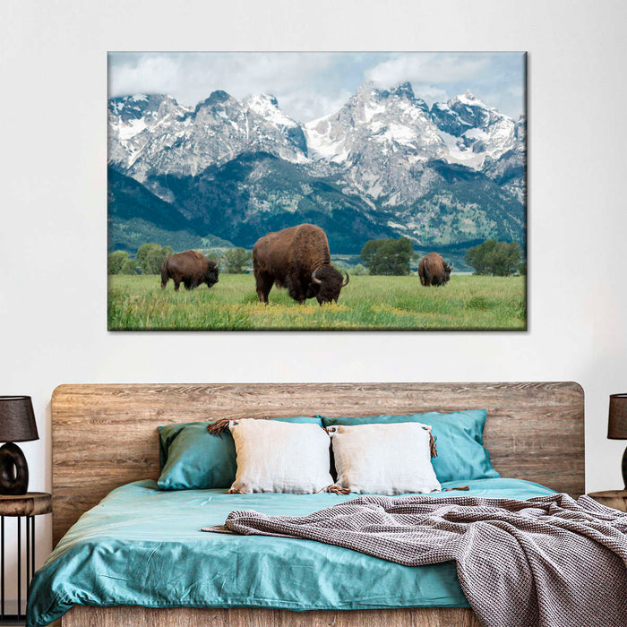 Grazing Teton Bison Wall Art