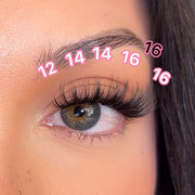Pink Purée Starry Eyes DIY Lashes