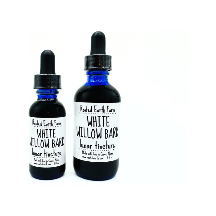 White Willow Bark Tincture