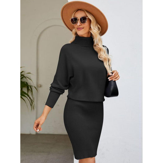 Turtle Neck Long Sleeve Ribbed Sweater Dress