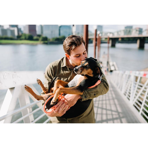 Silver Biotics Pet Vet Immune Support Pet Vet